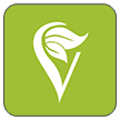 Vitamer Icon